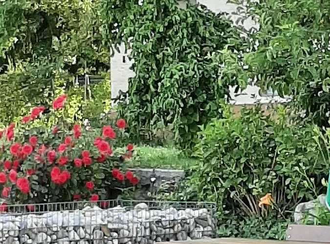 Mittendorfer Fogadó Haag am Hausruck